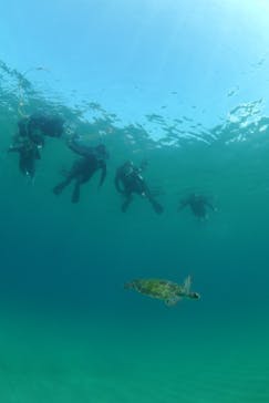 屋久島ガイドクラブに投稿された画像（2020/10/4）