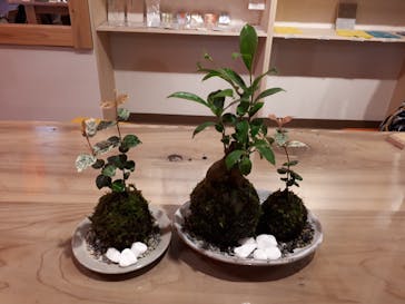 伊勢夫婦岩めおと横丁　めおと岩アクティビティに投稿された画像（2020/10/6）