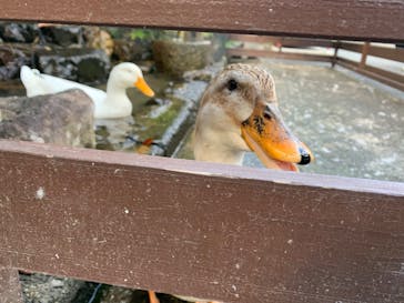 びわ湖バレイに投稿された画像（2020/10/6）