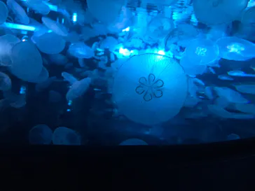 すみだ水族館に投稿された画像（2020/10/6）