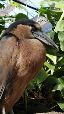 神戸どうぶつ王国に投稿された画像（2020/10/6）