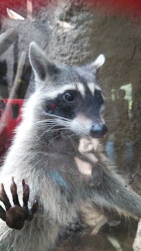 神戸どうぶつ王国に投稿された画像（2020/10/6）