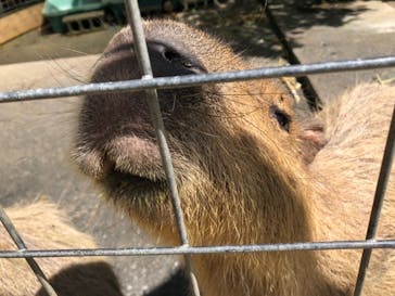 ネオパークオキナワに投稿された画像（2020/10/6）