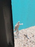 サンシャイン水族館に投稿された画像（2020/10/6）