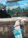 伊豆シャボテン動物公園に投稿された画像（2020/10/6）