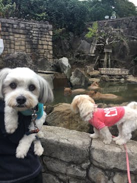 伊豆シャボテン動物公園に投稿された画像（2020/10/6）