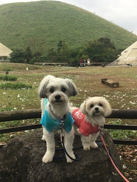 伊豆シャボテン動物公園に投稿された画像（2020/10/6）