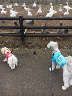 伊豆シャボテン動物公園に投稿された画像（2020/10/6）