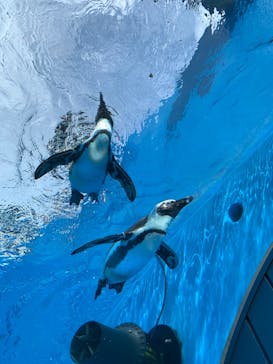 サンシャイン水族館に投稿された画像（2020/10/6）