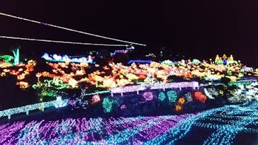 伊豆ぐらんぱる公園に投稿された画像（2020/10/6）