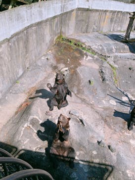 のぼりべつクマ牧場に投稿された画像（2020/10/7）