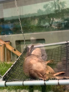 サンシャイン水族館に投稿された画像（2020/10/7）