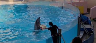 株式会社Gに投稿された画像（2020/10/7）