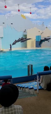 株式会社Gに投稿された画像（2020/10/7）