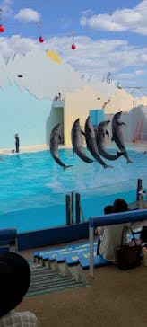 株式会社Gに投稿された画像（2020/10/7）