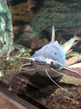 サンシャイン水族館に投稿された画像（2020/10/7）