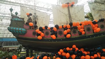 東京サマーランドに投稿された画像（2020/10/7）