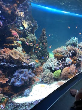 サンシャイン水族館に投稿された画像（2020/10/7）