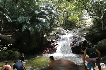 All Blue（オールブルー）に投稿された画像（2020/10/7）