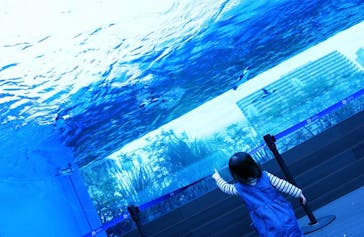 サンシャイン水族館に投稿された画像（2020/10/7）