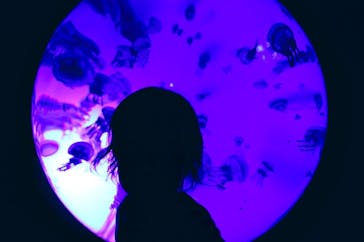 サンシャイン水族館に投稿された画像（2020/10/7）