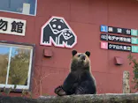 のぼりべつクマ牧場に投稿された画像（2020/10/7）