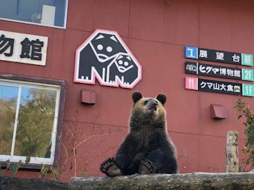 のぼりべつクマ牧場に投稿された画像（2020/10/7）