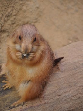 神戸どうぶつ王国に投稿された画像（2020/10/7）