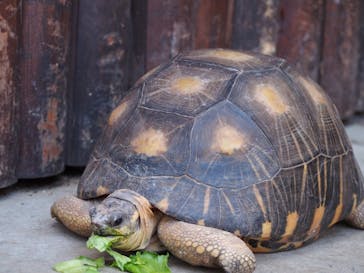 神戸どうぶつ王国に投稿された画像（2020/10/7）
