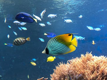 株式会社Gに投稿された画像（2020/10/7）