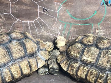 株式会社Gに投稿された画像（2020/10/7）