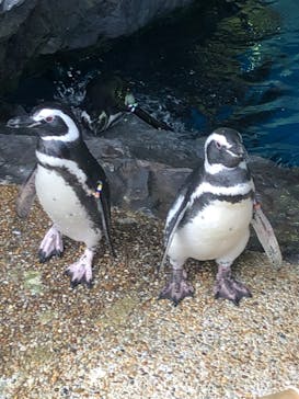 株式会社Gに投稿された画像（2020/10/7）