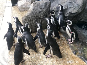 株式会社Gに投稿された画像（2020/10/7）