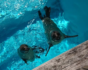 マリンワールド海の中道に投稿された画像（2020/10/7）