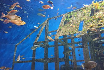 マリンワールド海の中道に投稿された画像（2020/10/7）