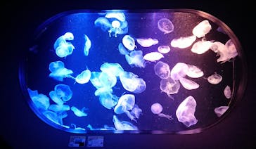 マリンワールド海の中道に投稿された画像（2020/10/7）