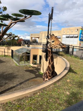旭川市旭山動物園に投稿された画像（2020/10/7）
