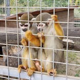 しろとり動物園に投稿された画像（2020/10/7）