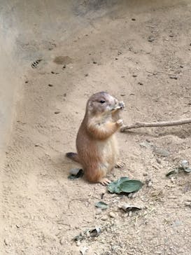 神戸どうぶつ王国に投稿された画像（2020/10/8）