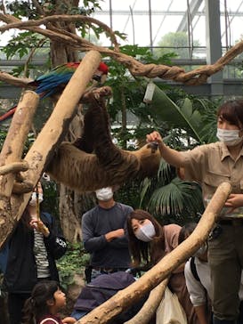 神戸どうぶつ王国に投稿された画像（2020/10/8）