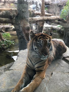 神戸どうぶつ王国に投稿された画像（2020/10/8）