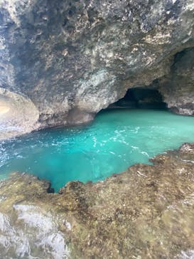 All Blue（オールブルー）に投稿された画像（2020/10/6）