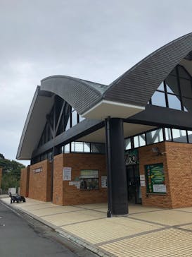 体感型動物園iZooに投稿された画像（2020/10/8）