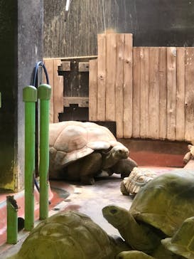 体感型動物園iZooに投稿された画像（2020/10/8）