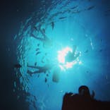 MalDive（モルダイブ）に投稿された画像（2020/10/8）