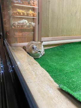 那須どうぶつ王国に投稿された画像（2020/10/8）