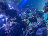 サンシャイン水族館に投稿された画像（2020/10/8）
