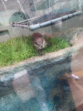 サンシャイン水族館に投稿された画像（2020/10/8）