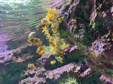 サンシャイン水族館に投稿された画像（2020/10/8）