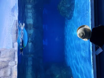 横浜・八景島シーパラダイスに投稿された画像（2020/10/8）